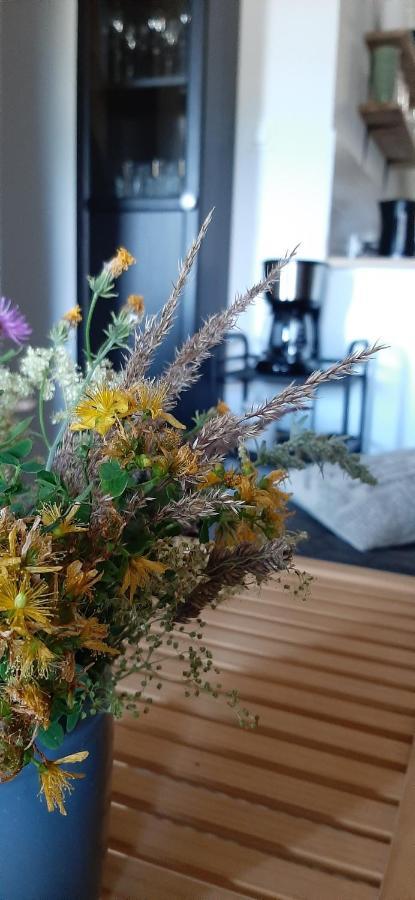 Apartament Czar-Now Czarnow  Kültér fotó